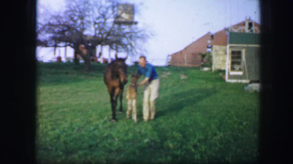 A man in casual clothing handles a horse and foal on a grassy area near lakeside buildings in 1964 home-movie footage.