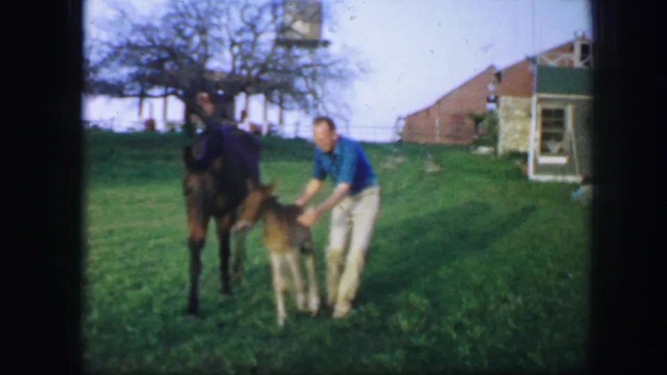 The man holds the foal beside an adult horse in a grassy yard, with buildings and water behind them.