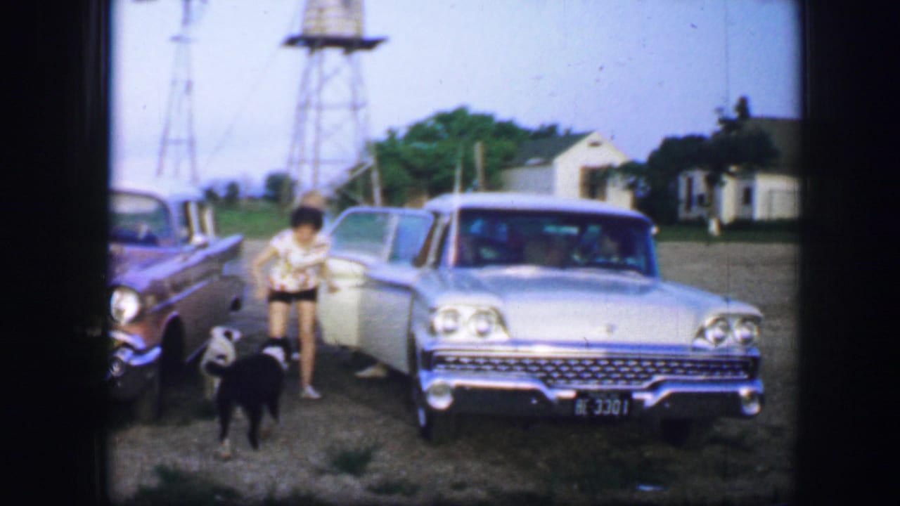Person standing near dogs and parked cars beside small buildings and water towers.