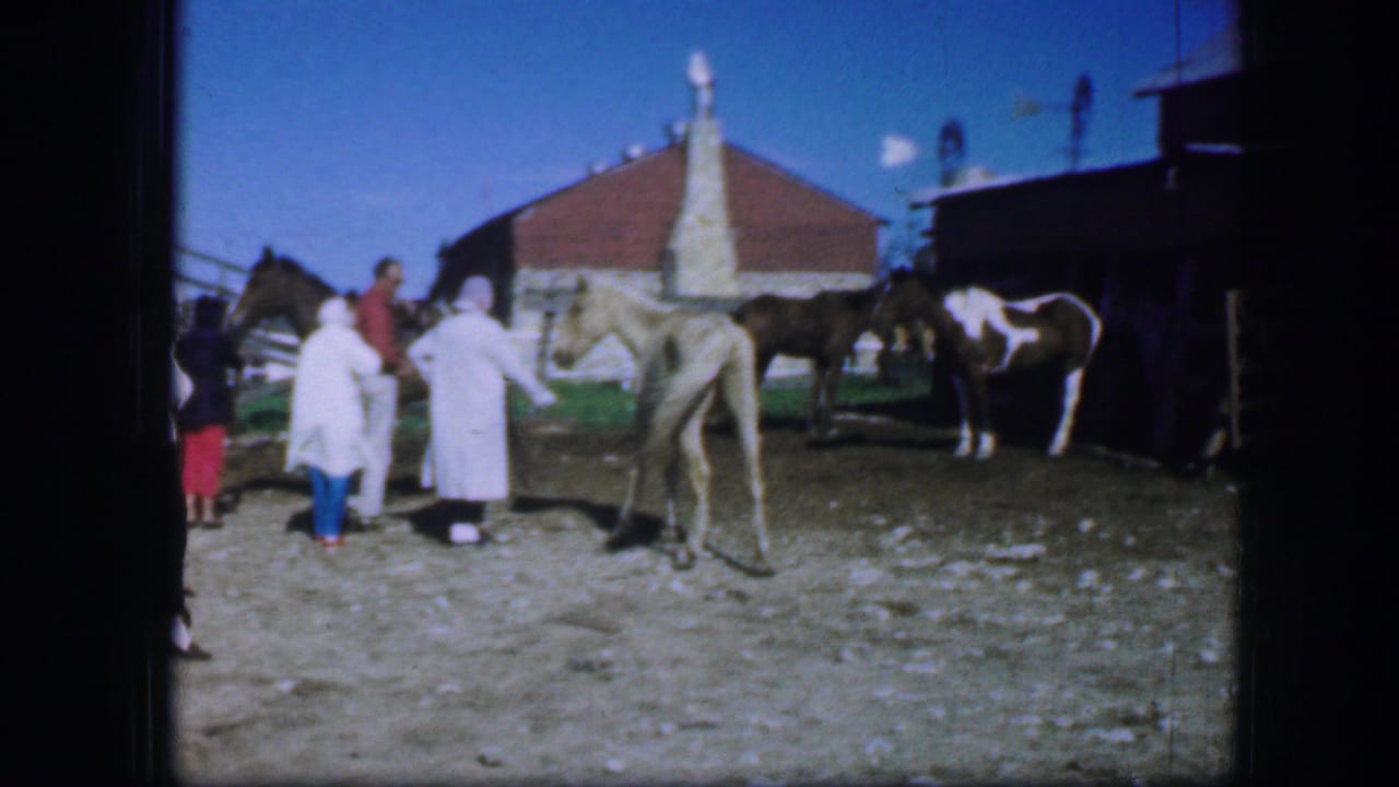 1964 Fort Worth home-movie frame showing adults in a corral near a light-colored horse, with a cow, barn structures, and clear sky behind them.