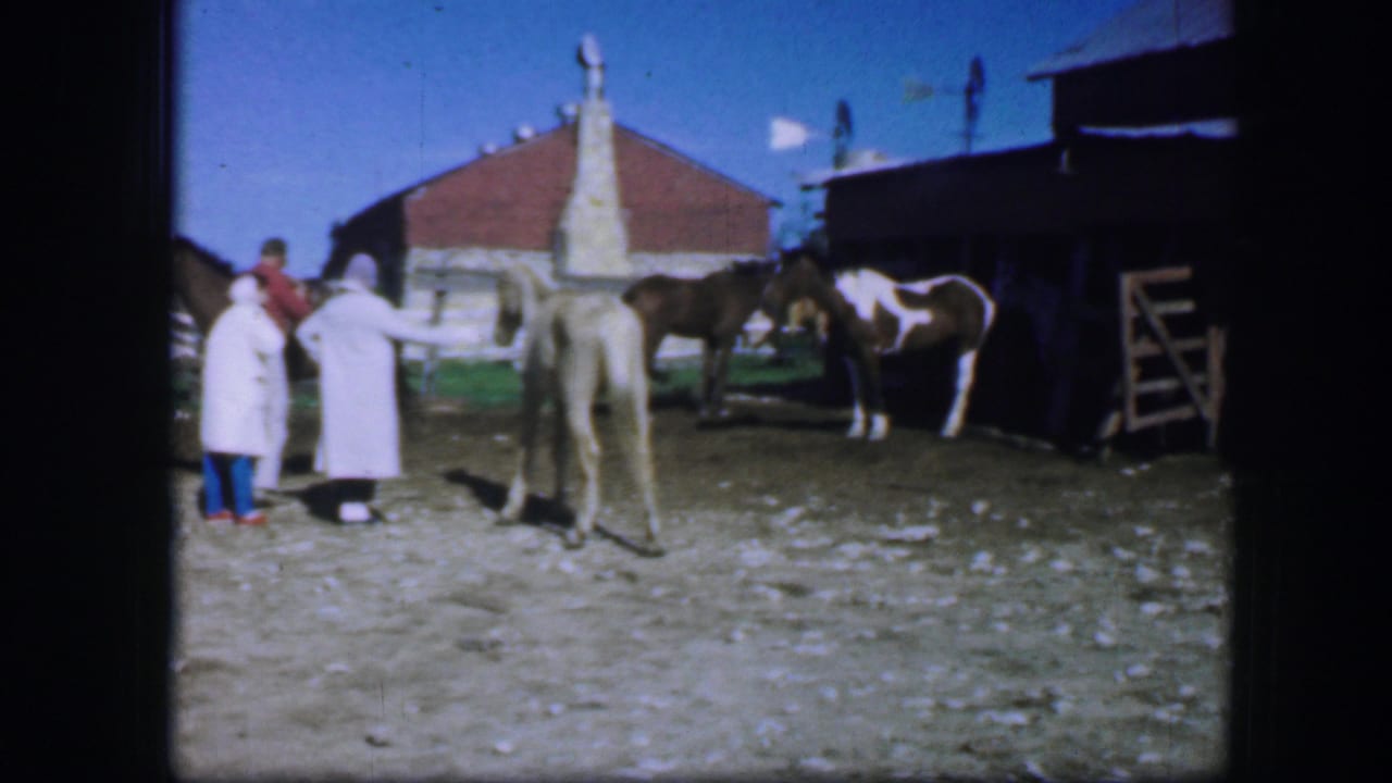 A group stands beside a horse in a corral while a cow stands near a barn.