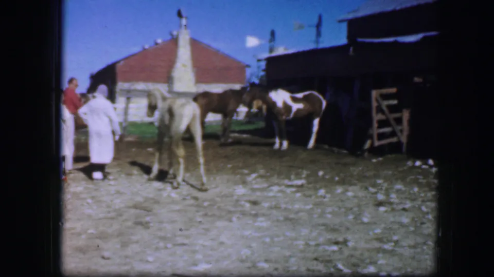 1964 Fort Worth frame showing adults at the edge of the shot near a light-colored horse, with a cow, barn, gate, and corral yard visible.