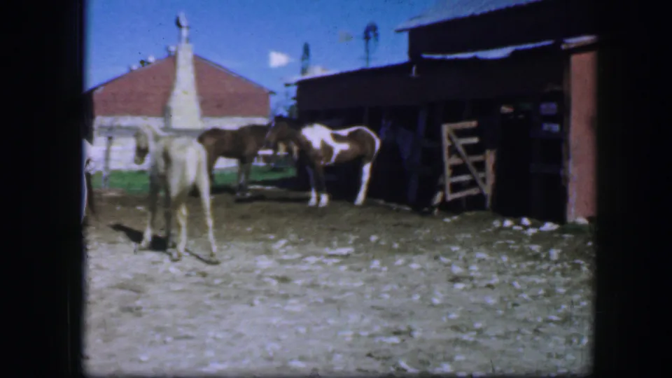 1964 Fort Worth home-movie frame with the horse centered from behind, a cow beside the barn, and ranch structures under a bright blue sky.