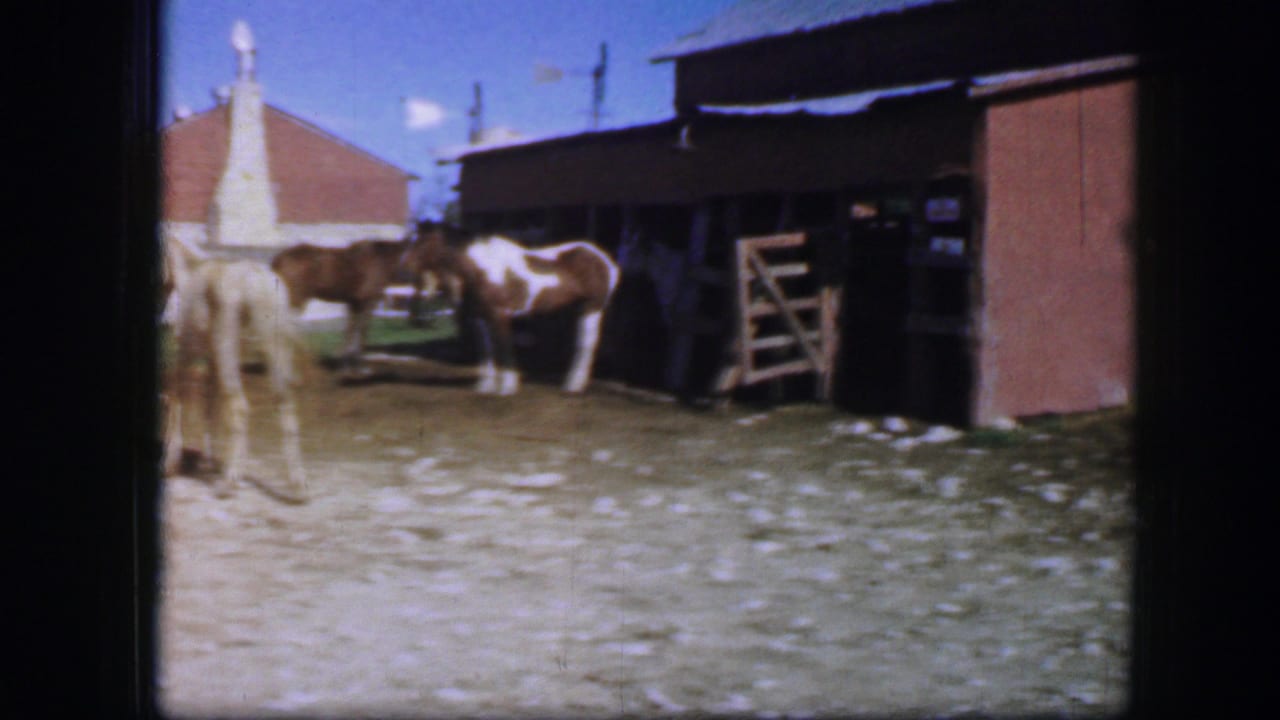1964 Fort Worth home-movie frame showing horses near a red barn, wooden gate, scattered forage, and a bright sky.