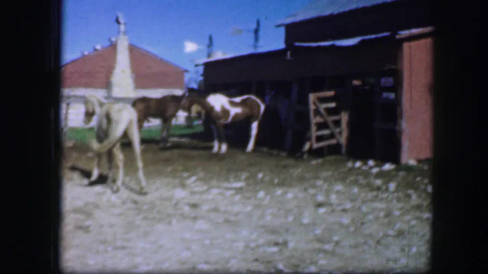 A light-colored horse crosses the foreground as darker horses stand near the red barn in a 1964 Fort Worth 8mm home-movie frame.