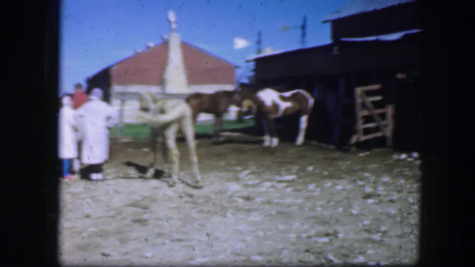 Horses remain near the red barn and gate, with small distant onlookers at the edge of the 1964 Fort Worth home-movie frame.