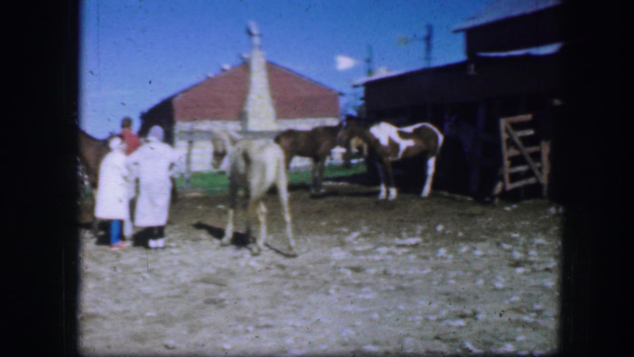 1964 Fort Worth home-movie frame showing handlers near light-colored horses and a pinto horse by fencing and a red-roofed barn.