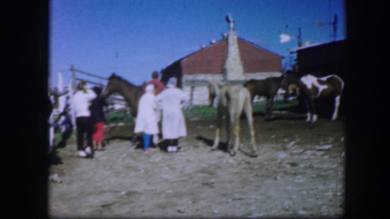 Several people and horses stand near fencing and a barn under a clear sky.