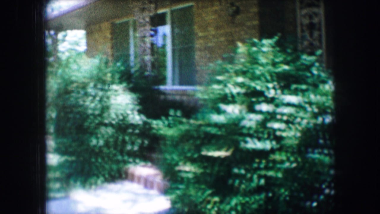Sunlit brick house exterior with shrubs, window, lawn, and concrete path.