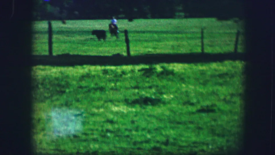 Distant 1967 Kirksville pasture view with a rider on horseback near a dark animal behind a fence.