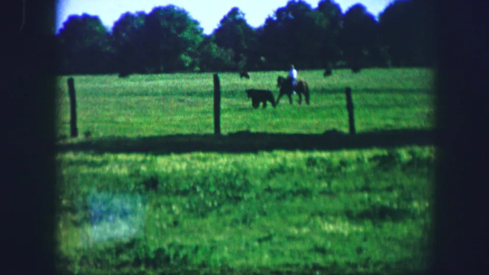 1967 Kirksville home-movie frame of a rider in a fenced pasture near a dark animal, with trees beyond the field.