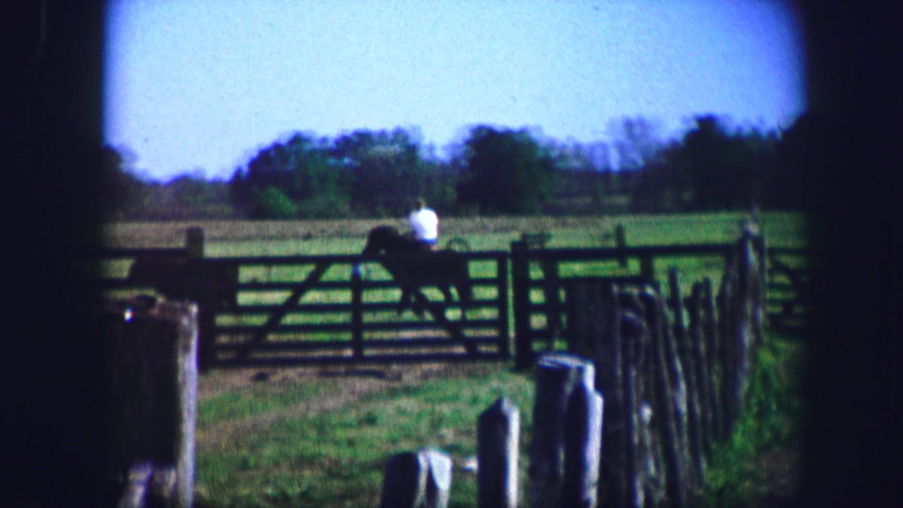Distant adult near a wooden gate beside pasture and rail fencing.