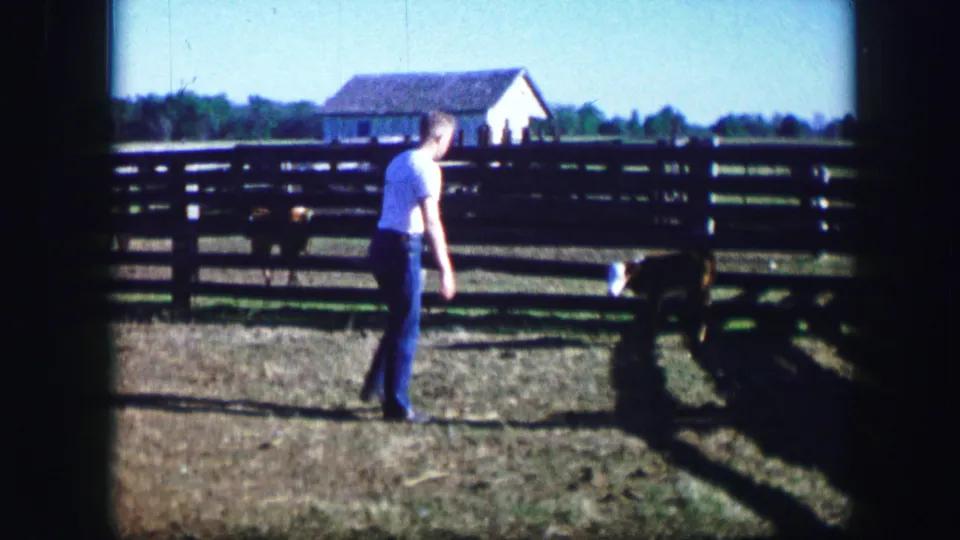The man turns partly toward the home-movie camera in a fenced Kirksville pasture while the cow stands near the shadowed fence.
