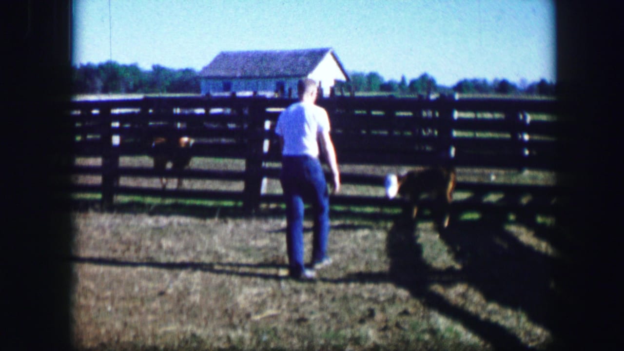1967 Kirksville, Missouri farmyard view with a man in a white shirt facing a brown dog near wooden fencing and a distant barn.