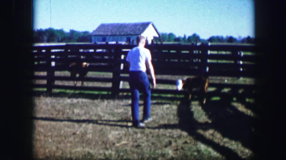 1967 Kirksville, Missouri farmyard view with a man in a white shirt facing a brown dog near wooden fencing and a distant barn.