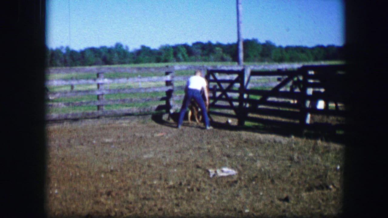 Man bends toward a dog beside a wooden gate in a fenced farmyard.