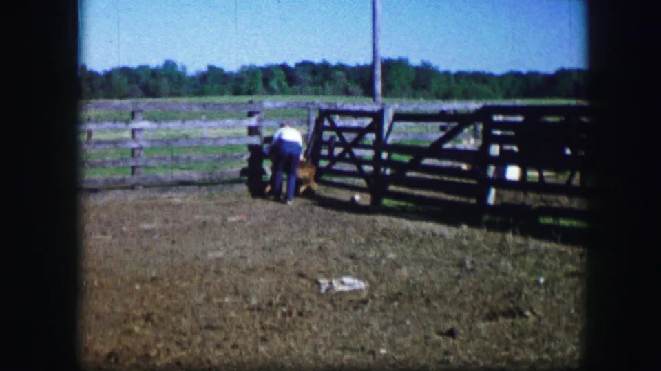 Near the end of the clip, the man remains bent toward the dog at the wooden gate in the fenced Missouri farmyard.