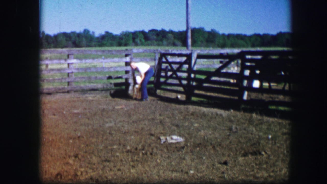 Man leans down toward a calf near a fence and gate.