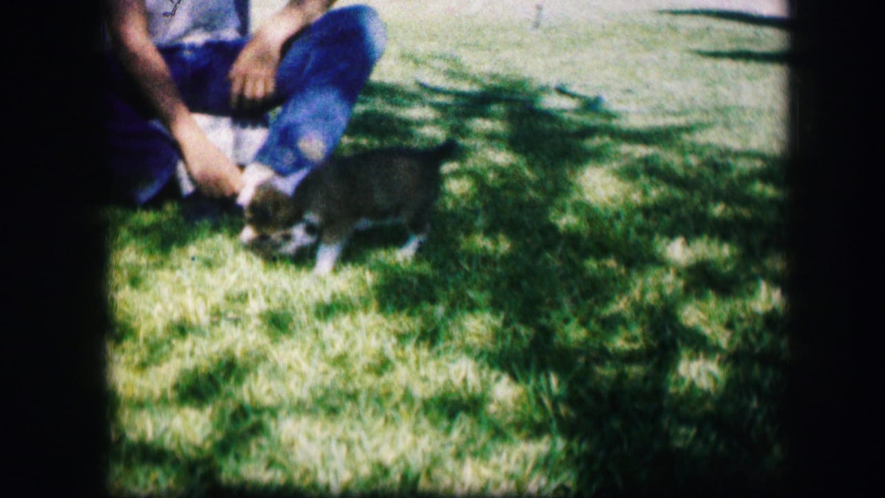 In 1967 Kirksville home-movie footage, a seated man watches two small puppies close to his knees on grass.
