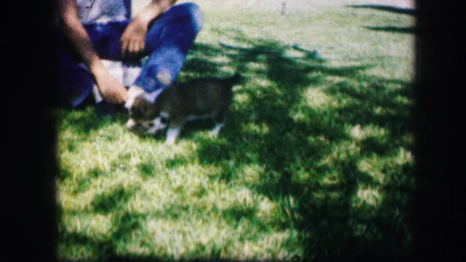 In 1967 Kirksville home-movie footage, a seated man watches two small puppies close to his knees on grass.