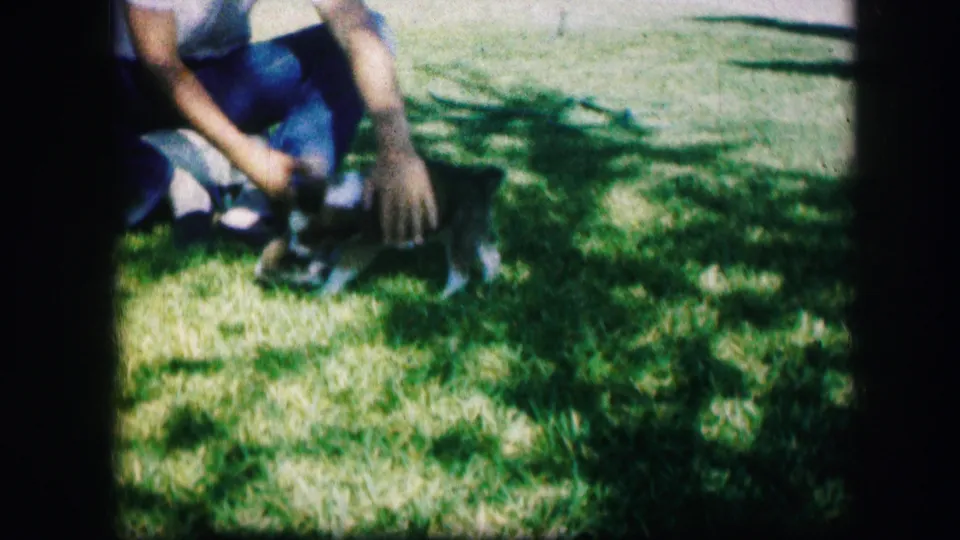 The man leans one hand toward two small puppies wrestling in a grassy Missouri yard.