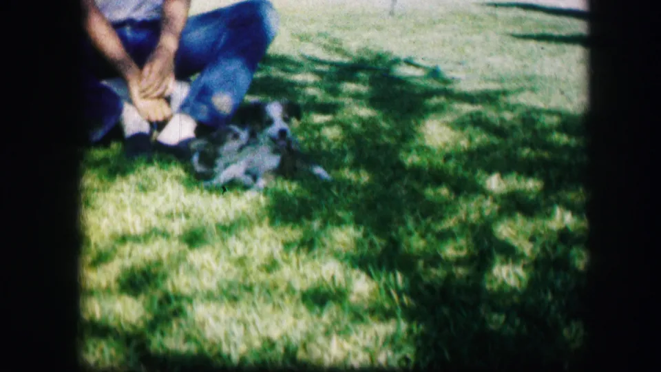 Two small puppies roll and struggle beside a seated man's legs in soft-focus 1967 8mm footage.