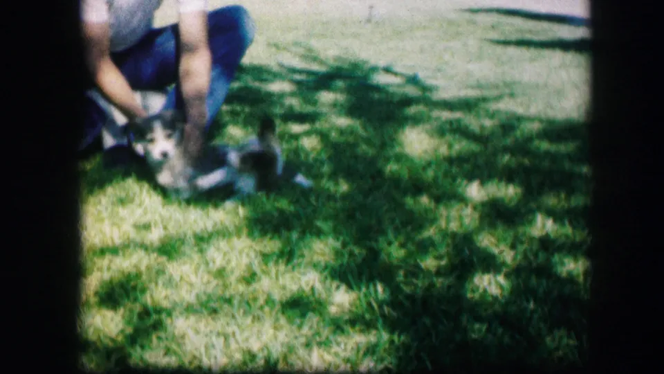 A person seated on a grassy lawn reaches toward two small puppies in this 1967 Kirksville home-movie frame.