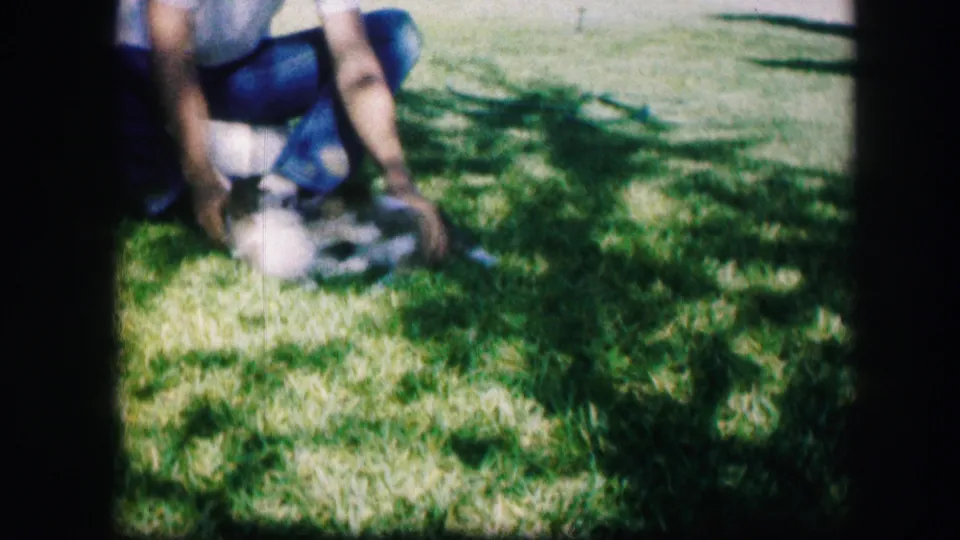 Two puppies wrestle near the shoes and hands of a seated person on a sunny lawn in Kirksville, Missouri, in 1967.