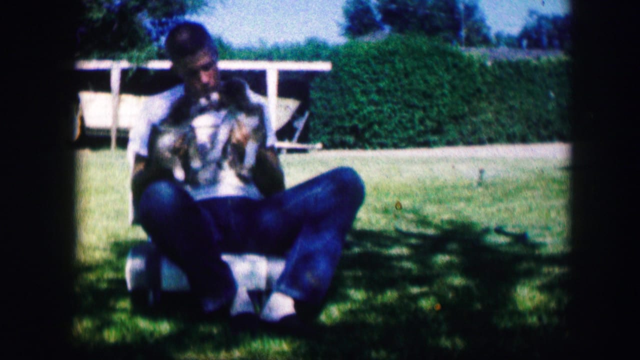 Man seated on grass holding two small puppies in bright outdoor light.