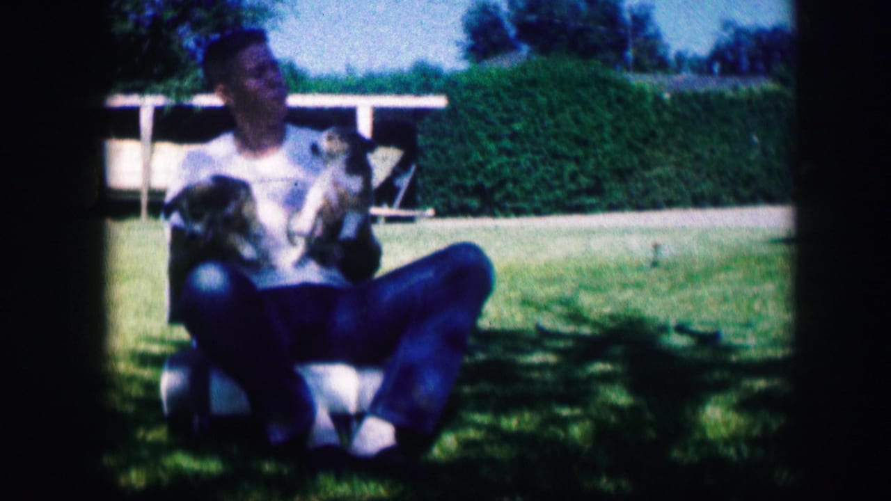 Man turns his head while holding two puppies on a lawn.