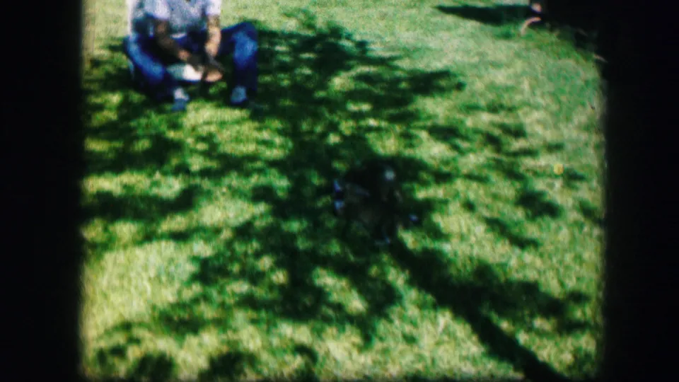 A man seated on the grass leans toward a puppy in soft, sunlit 1967 Kirksville home-movie footage.