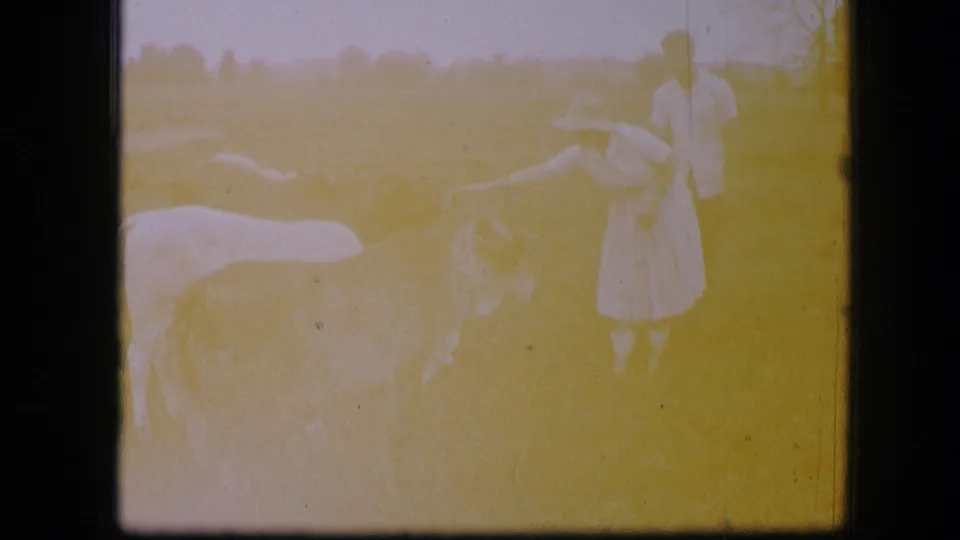A faded, overexposed 1967 home-movie frame still shows a woman and man near cattle in a Missouri pasture.