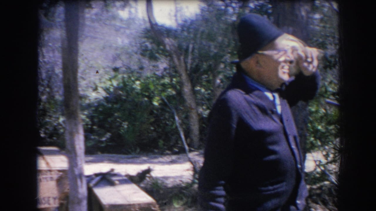 Older man in a dark jacket and hat shades his eyes outdoors near trees.