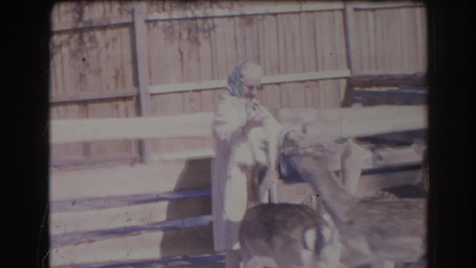 1969 Sarasota frame showing an older woman in a light coat beside a deer-like garden sculpture and wooden fence.
