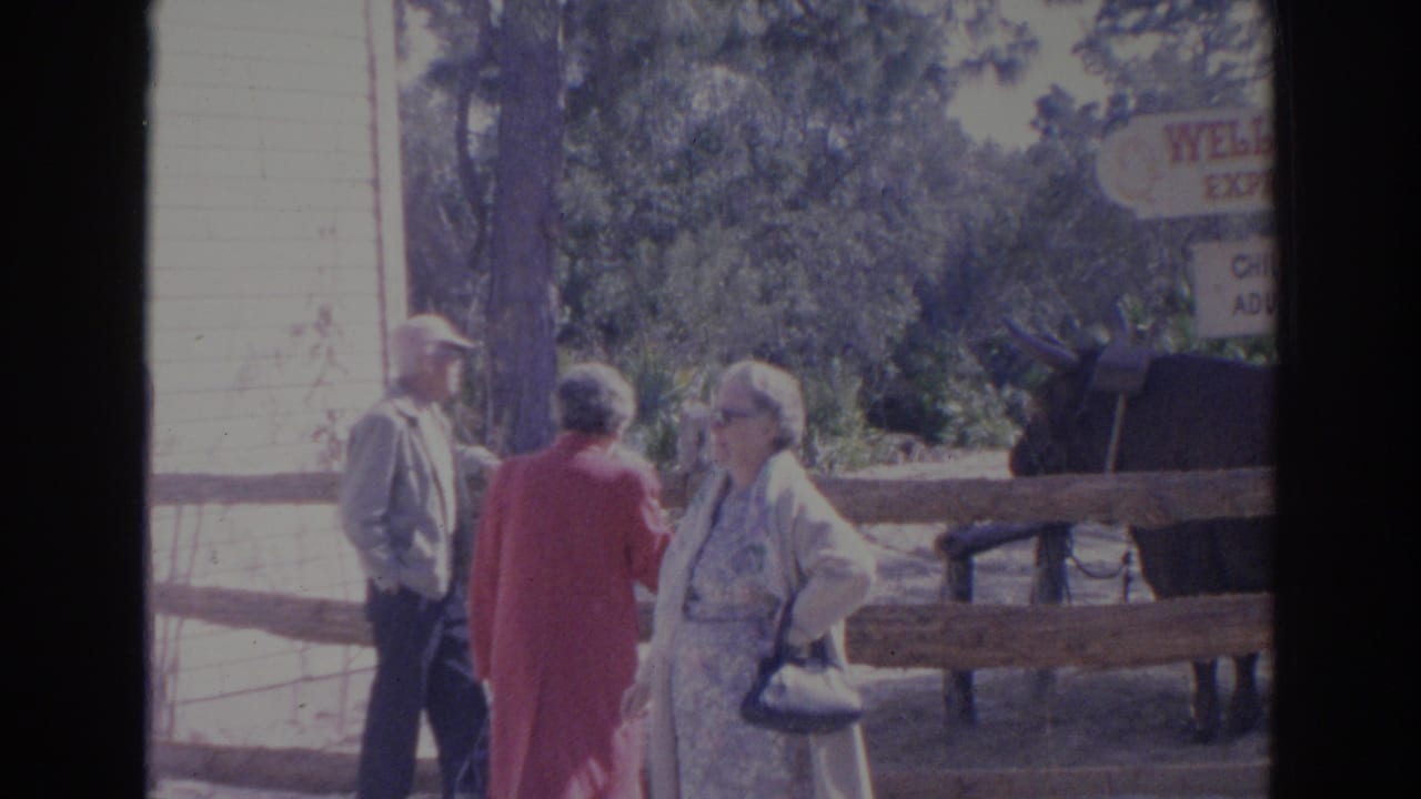 In 1969 Sarasota, Florida, three adult visitors stand by a wooden fence at an animal attraction with a dark harnessed animal nearby.