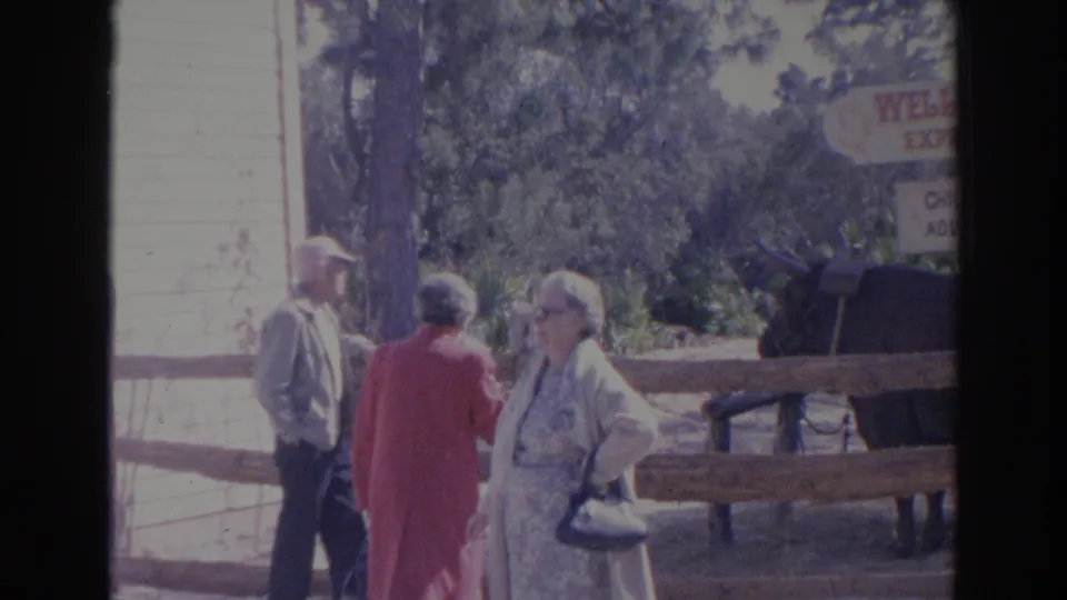 In 1969 Sarasota, Florida, three adult visitors stand by a wooden fence at an animal attraction with a dark harnessed animal nearby.