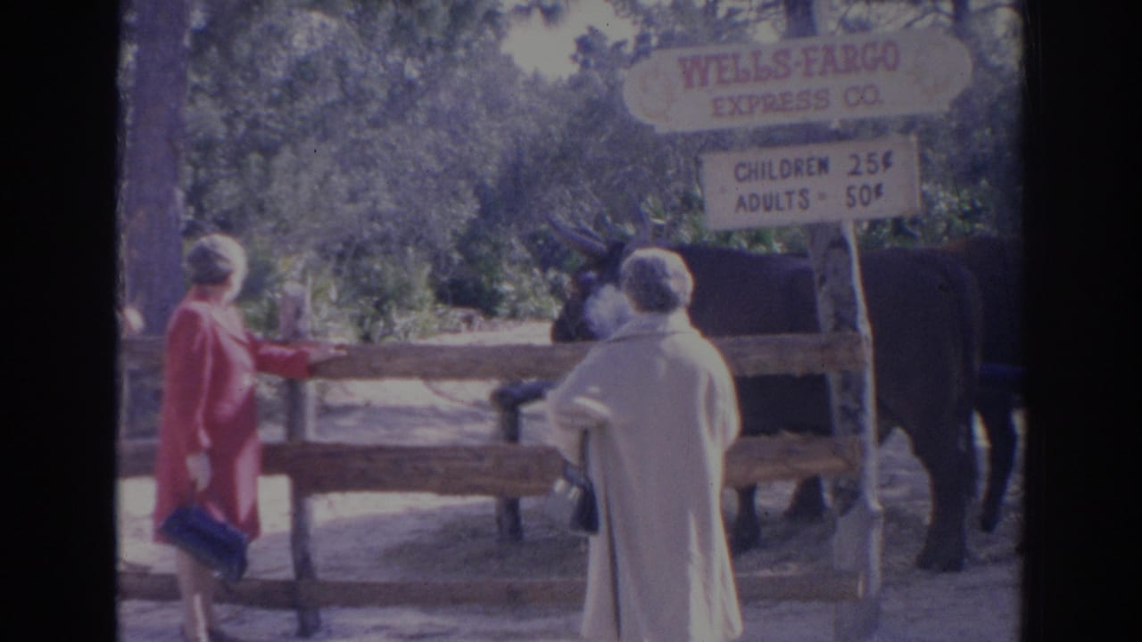 Two adult women stand near a fenced animal-drawn cart attraction in Sarasota, with a posted children and adults fare sign above the animal.