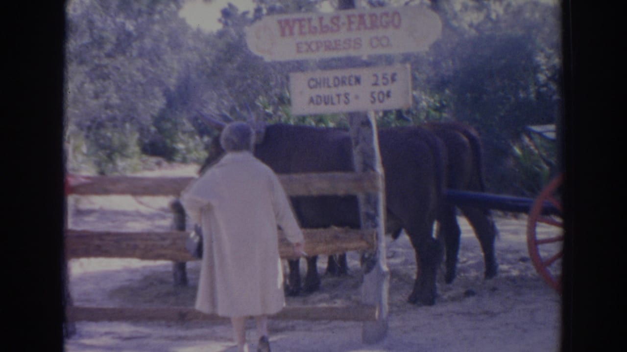 An adult woman in a light coat stands facing a dark harnessed animal and cart at the Sarasota attraction, with a fare sign overhead.