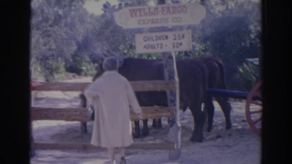 An adult woman in a light coat stands facing a dark harnessed animal and cart at the Sarasota attraction, with a fare sign overhead.