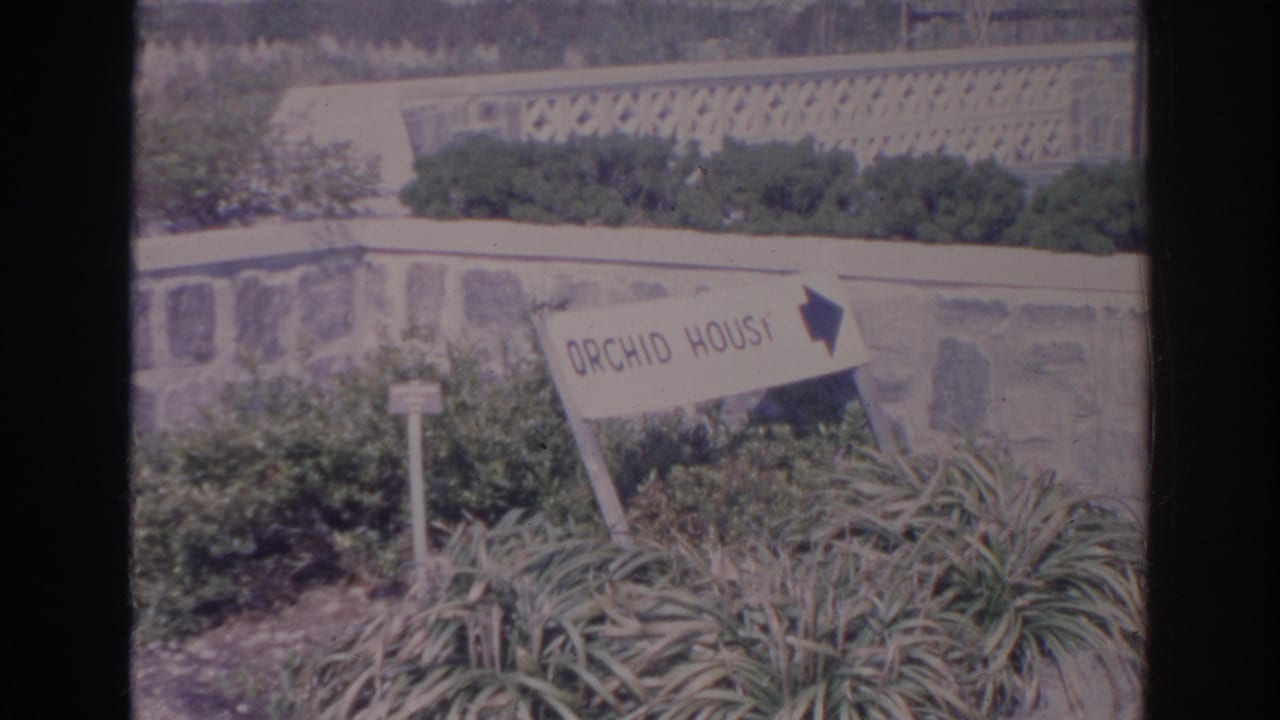Orchid House directional sign set among plants beside a stone wall.