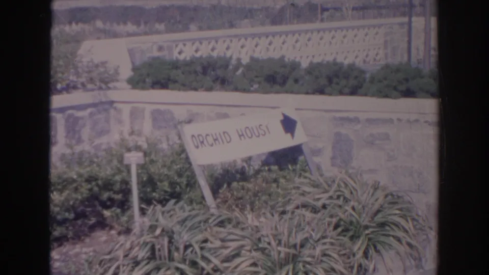 Home-movie view of the Orchid House directional sign surrounded by low plants and stone garden walls in Sarasota.