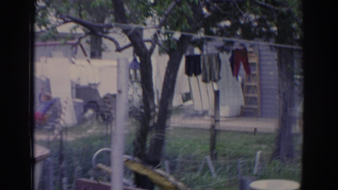 Backyard view with trees, a clothesline, lawn furniture, and houses in the background.