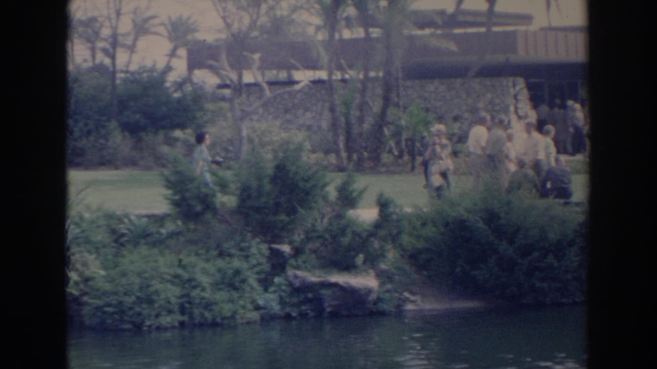 1969 Sarasota 8mm frame looking across a water channel toward landscaped plantings, a low building edge, and distant outdoor activity.