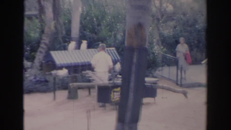 1969 Sarasota home-movie frame with benches, railings, dense garden planting, and distant visitor-like figures near a walkway.