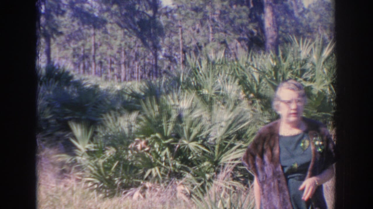Older woman in Sarasota, Florida, standing in bright outdoor light before palms and pine trees in 1969 8mm home-movie footage.