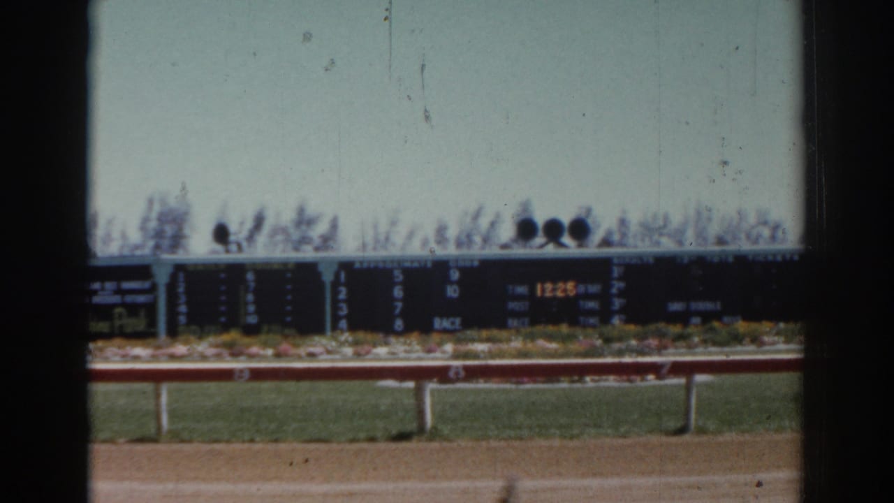 The Sarasota racetrack scoreboard remains in view, with track rail and racing surface below.