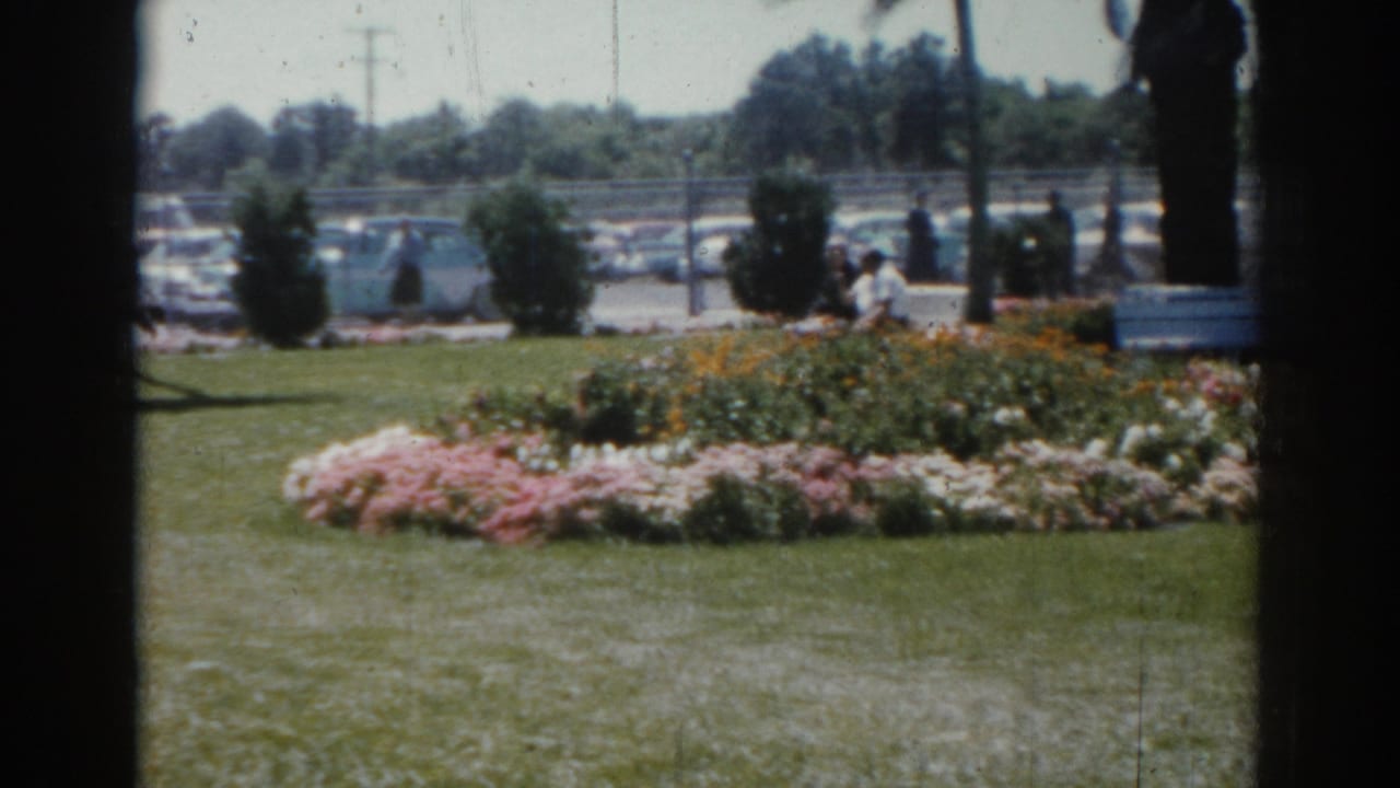 1969 Sarasota park view with a bright flower bed, trimmed shrubs, distant visitors, parked cars, and trees beyond the lawn.