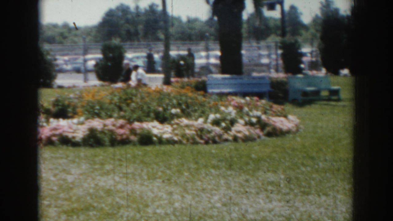 Handheld 8mm frame from Sarasota in 1969 showing flowers across a lawn with benches, shrubs, cars, and small figures in the background.