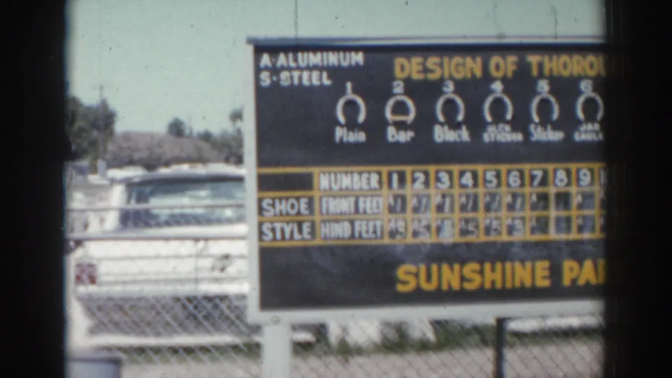 A racetrack display board labeled Sunshine Park shows numbered horse shoe-style diagrams and chart rows.