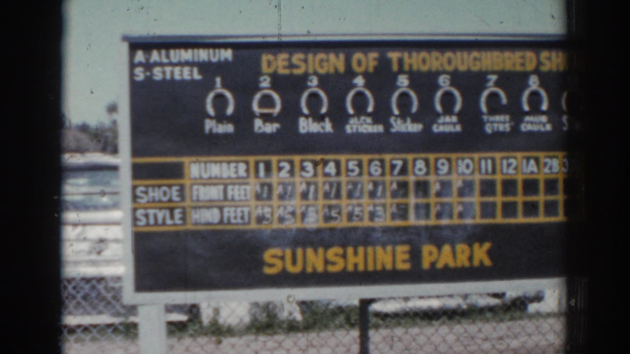 1969 Sarasota racetrack scoreboard marked Sunshine Park, showing horseshoe design icons and numbered race-result rows behind a chain-link fence.